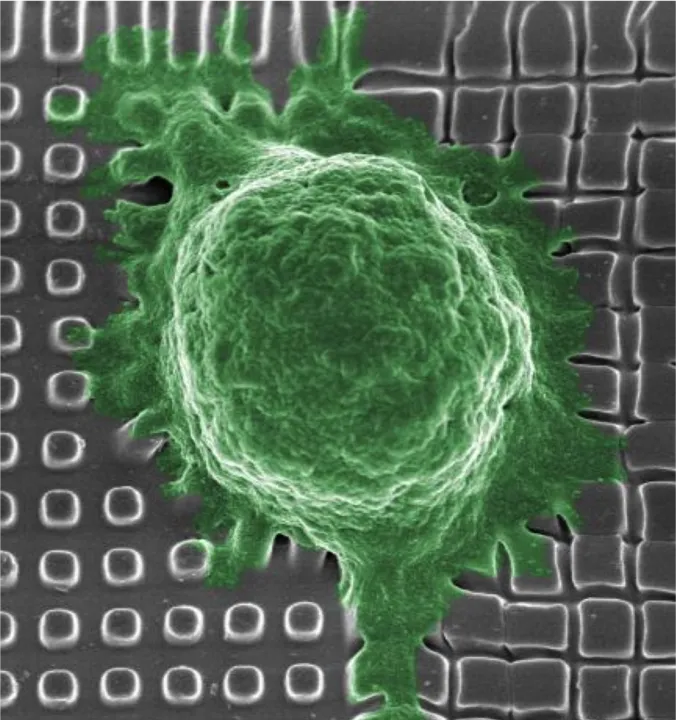 nano-bio